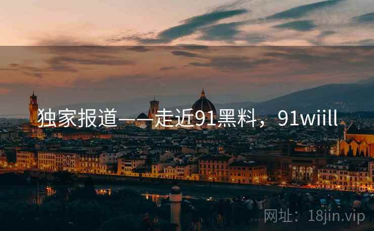 独家报道——走近91黑料，91wiill