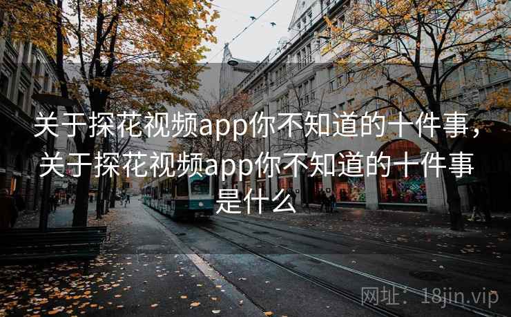 关于探花视频app你不知道的十件事，关于探花视频app你不知道的十件事是什么