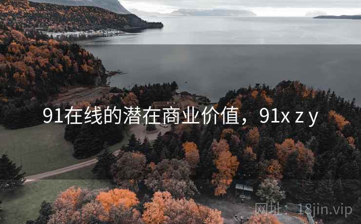 91在线的潜在商业价值，91x z y