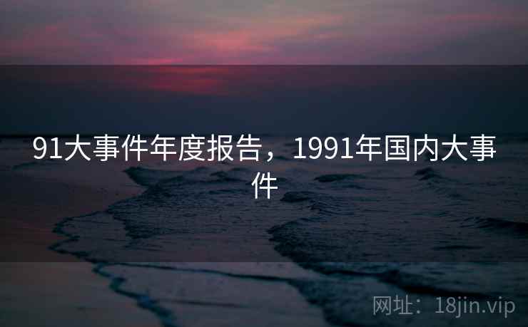 91大事件年度报告，1991年国内大事件