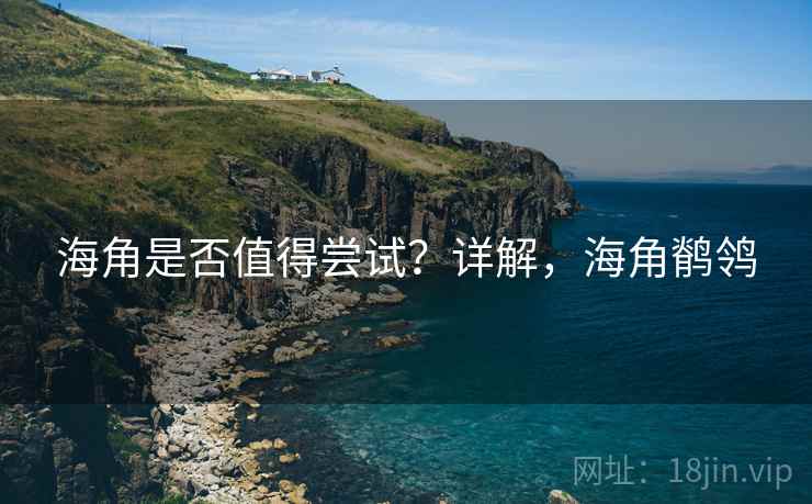 海角是否值得尝试？详解，海角鹡鸰
