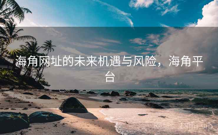 海角网址的未来机遇与风险，海角平台